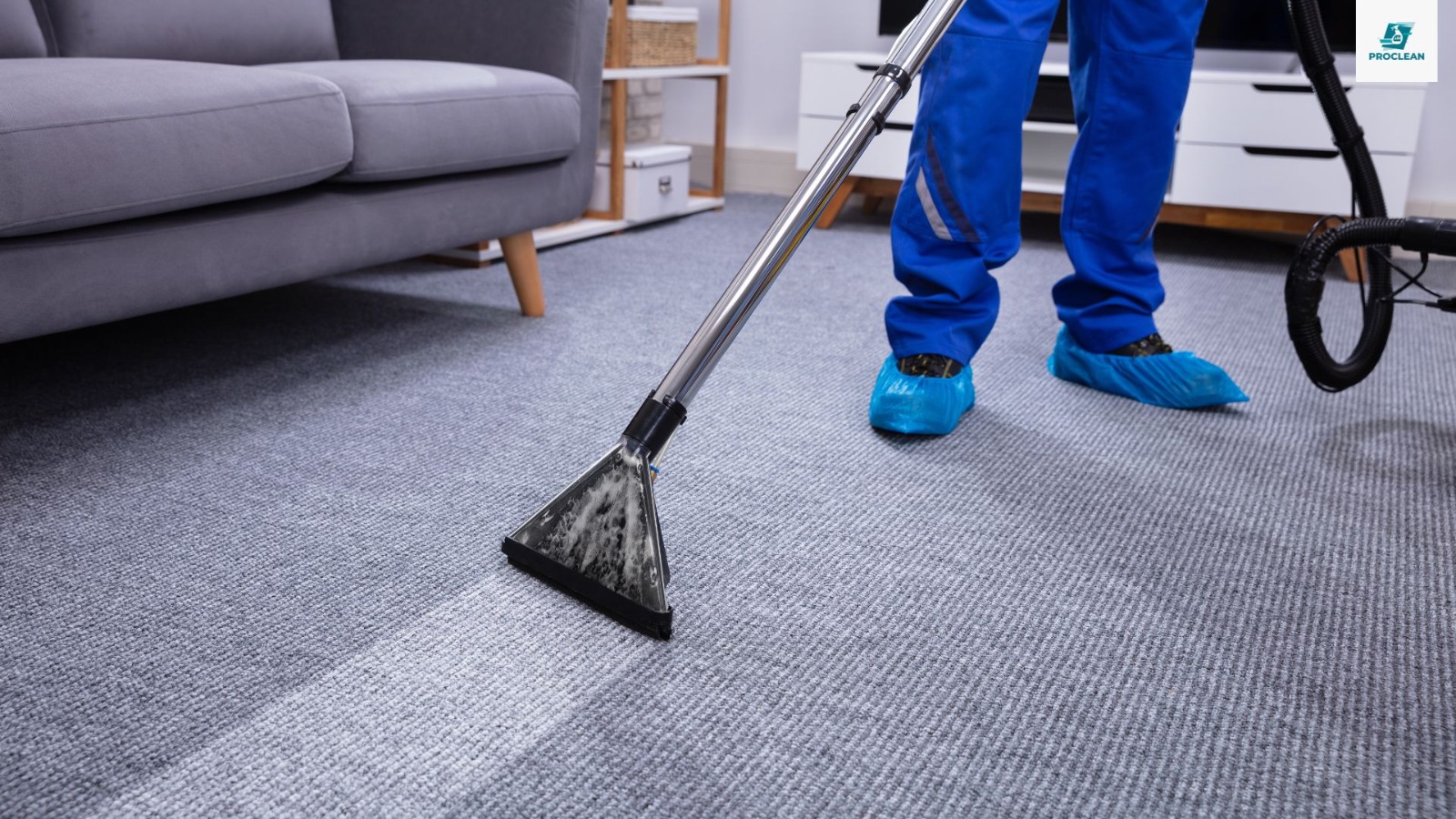 Nettoyage de Tapis